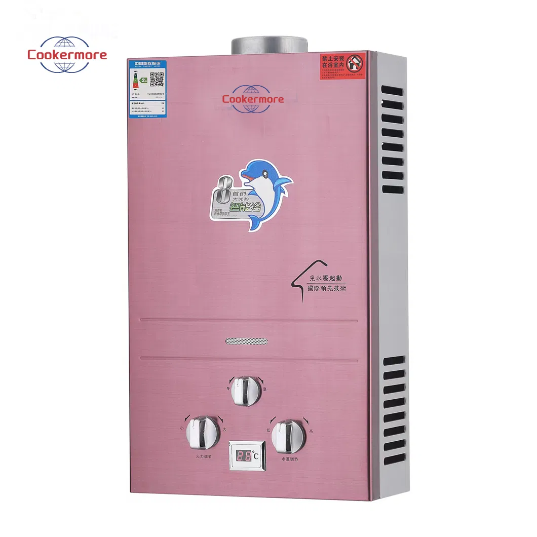 Wholesale Price Portable LPG Natural Domestic Home Propane Instant Hot Tankless Geyser Gas Water Heater for Outdoor Camping