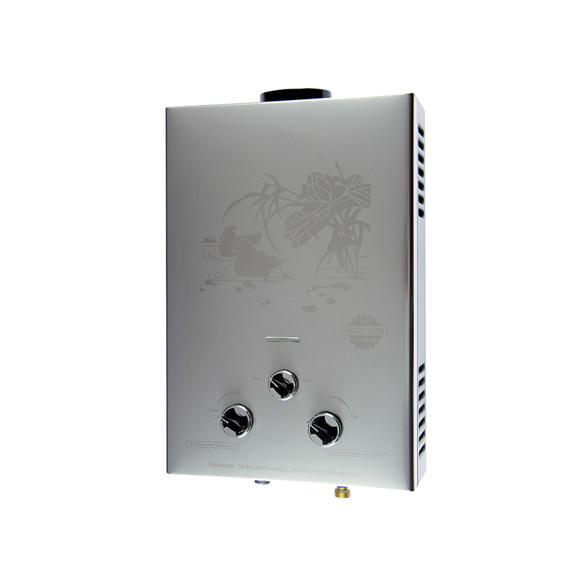 Tankless Gas Water Heater 220V Stable Calentador De Agua for Instant Hot Water