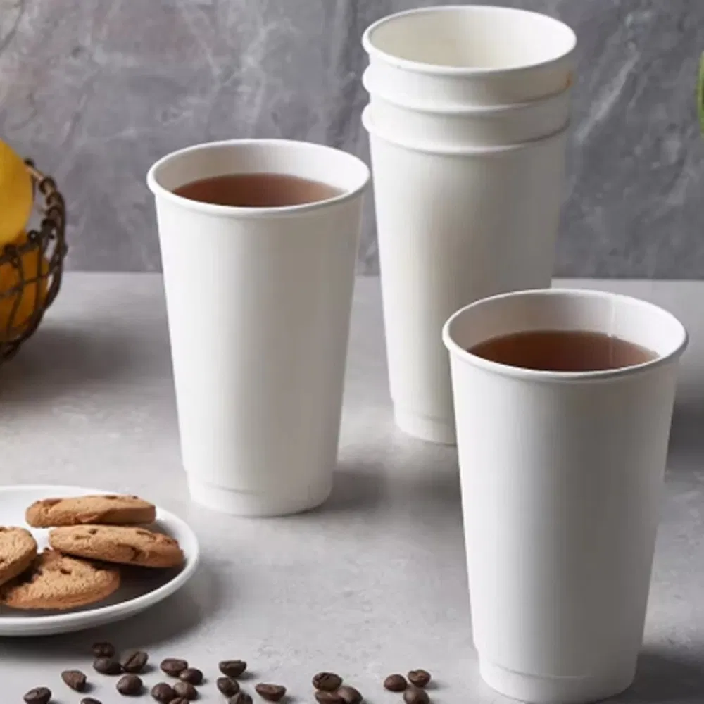 Biodegradable Sugar Cane Cups for Green and Eco-Friendly Events