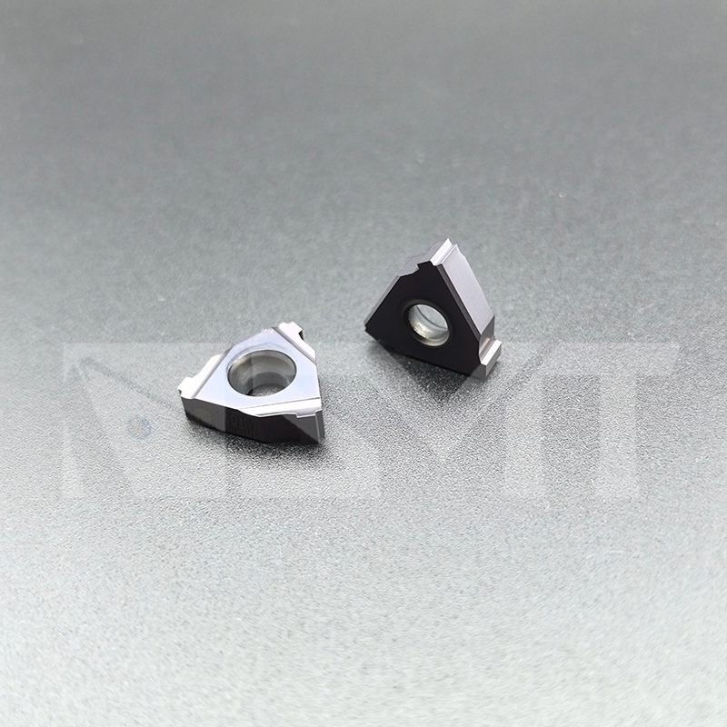 Oil &Gas-Geological Drilling- Carbide Threading Inserts-22er 4dz