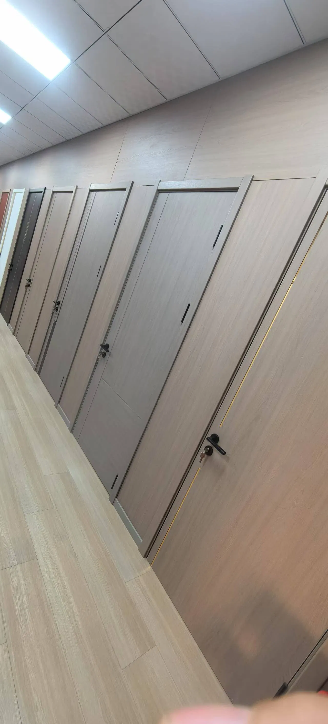 Durable Fire Door for Schools with Enhanced Safety Features