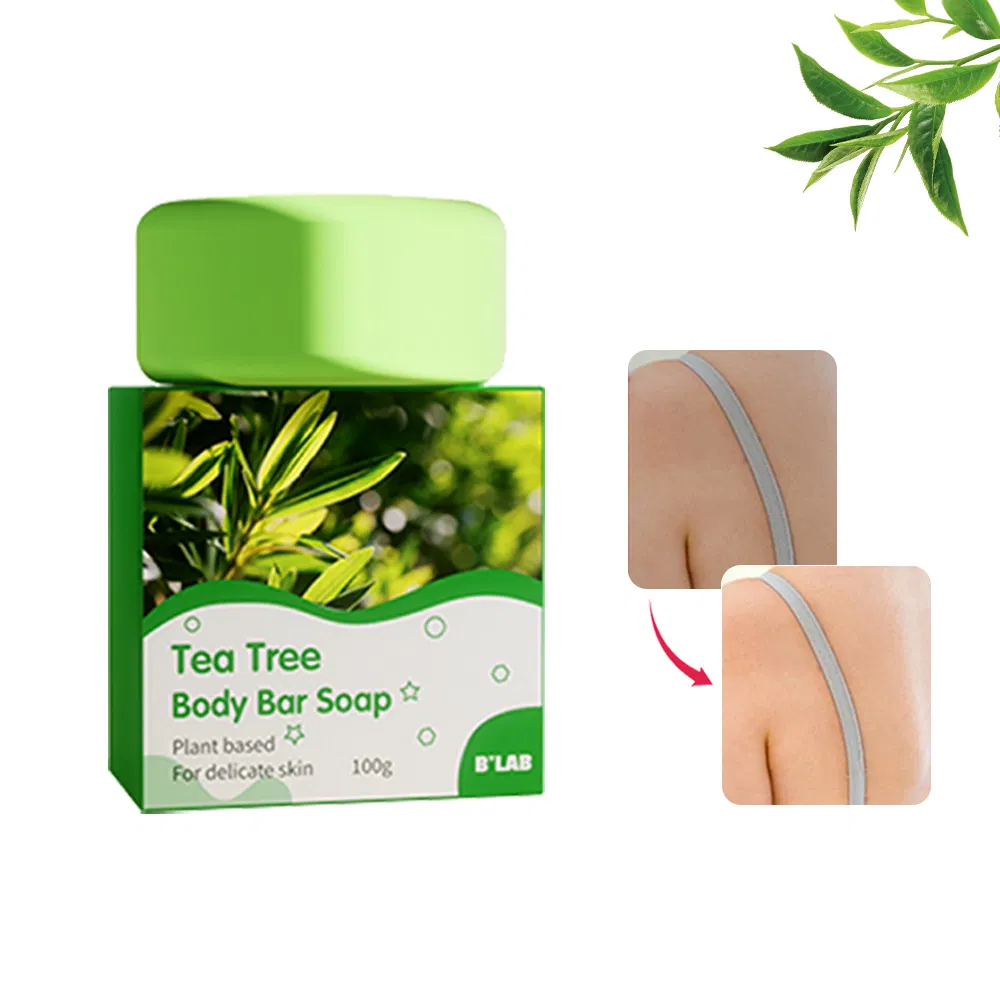 Green Tea Moisturizing Skin Care Bath Soap