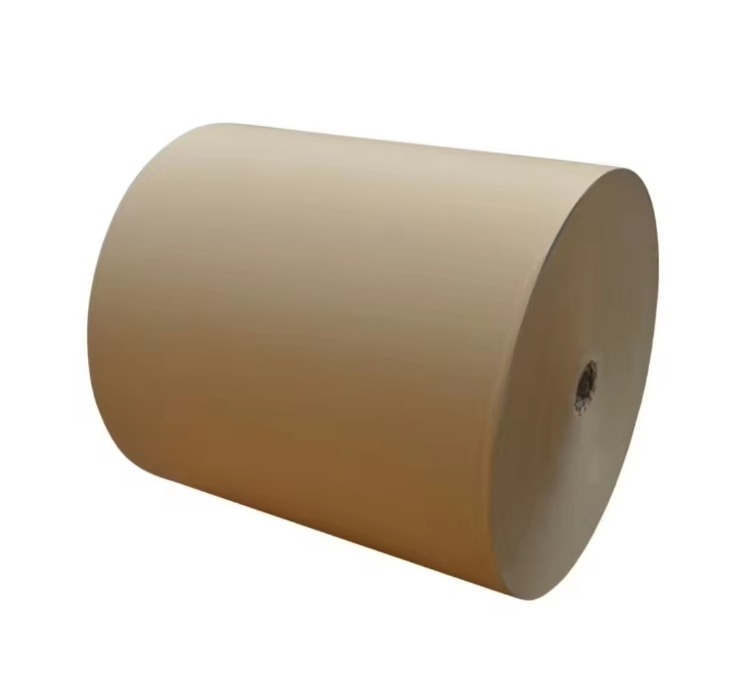 PE Making Paper Kraft Paper Packaging Paper in Reels