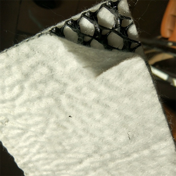 Reinforced Geomat 3D Model Design Three-Dimensional Composite Drainage Network 300g 450g 800g 900g