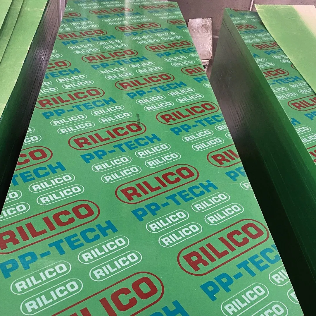 Anti-Corrosion Rigid Surface PP Film Laminating Green PP Plastic Plywood