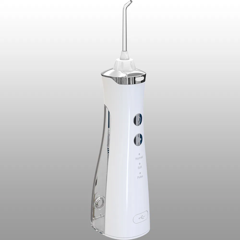 USB Typec OEM Factory Smart Cordless Jet Pick Dental Portable
