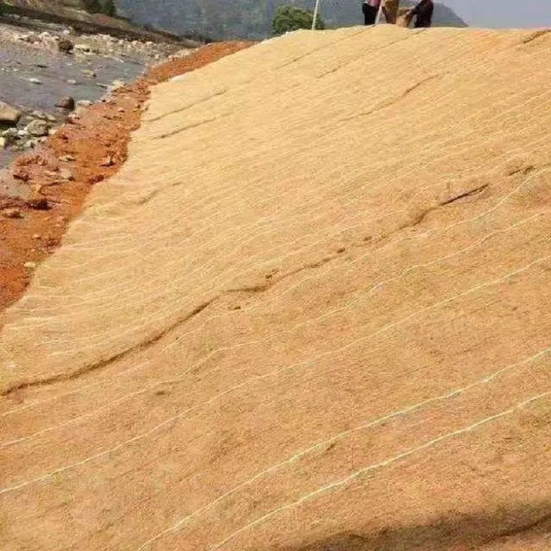Coconut Fiber Blanket for Slope Protection/Barren Mountain Restoration/Anti-Impact Biological Mat
