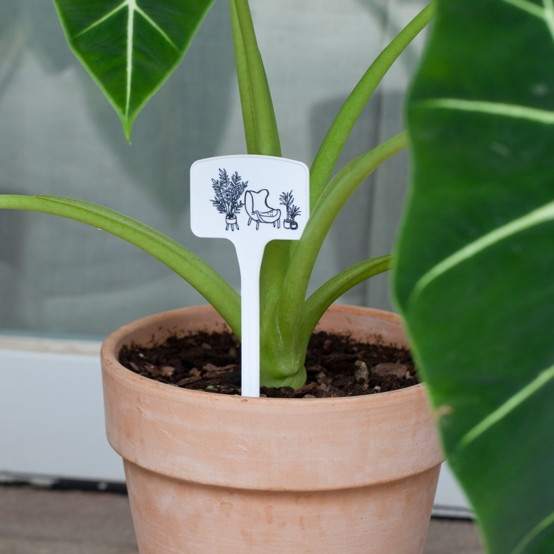 Durable Plastic Plant Markers for Professional Garden Labeling