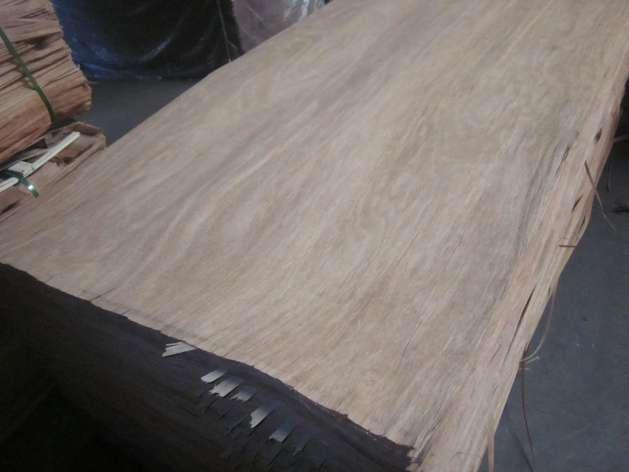 Yellow Birch Wood Veneer Birch Veneer Birch for Plywood