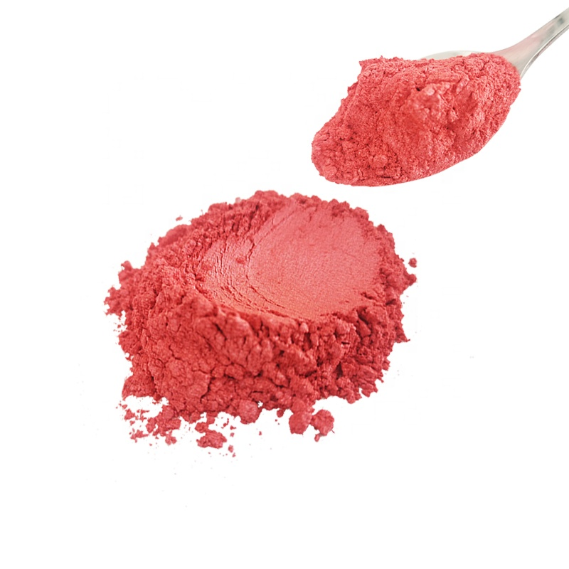 Professional Glitter Eyeshadow Powder Makeup Shiny Loose Mica Pigment Powder