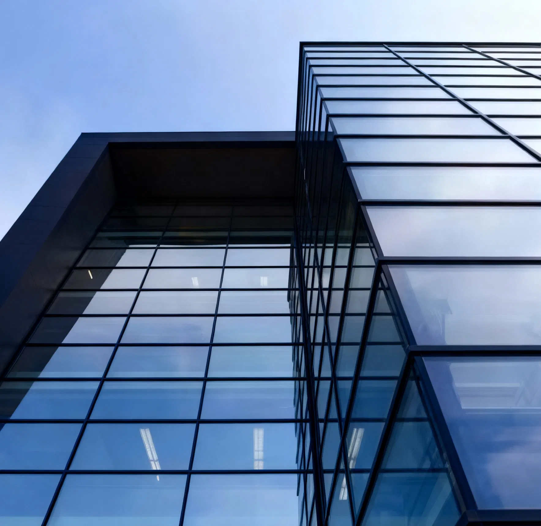 Versatile Decorative Curtain Walls to Enhance Any Room's Aesthetic