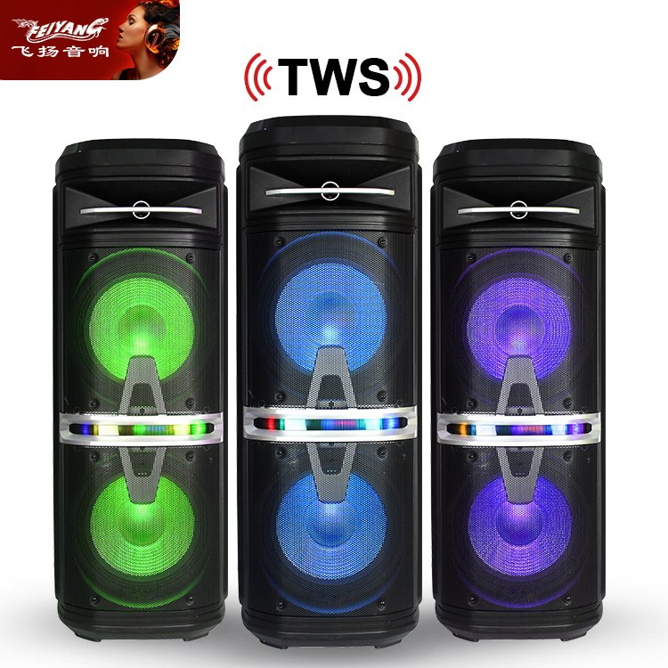 Feiyang Private Mould Outdoors Bluetooth DJ Party Rechargeable Powerful Speaker 5 Band EQ--2*10"