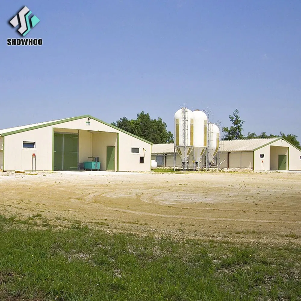 Chicken House Poultry Farming Broiler House Wall Seat Cheap Price Design Kenya