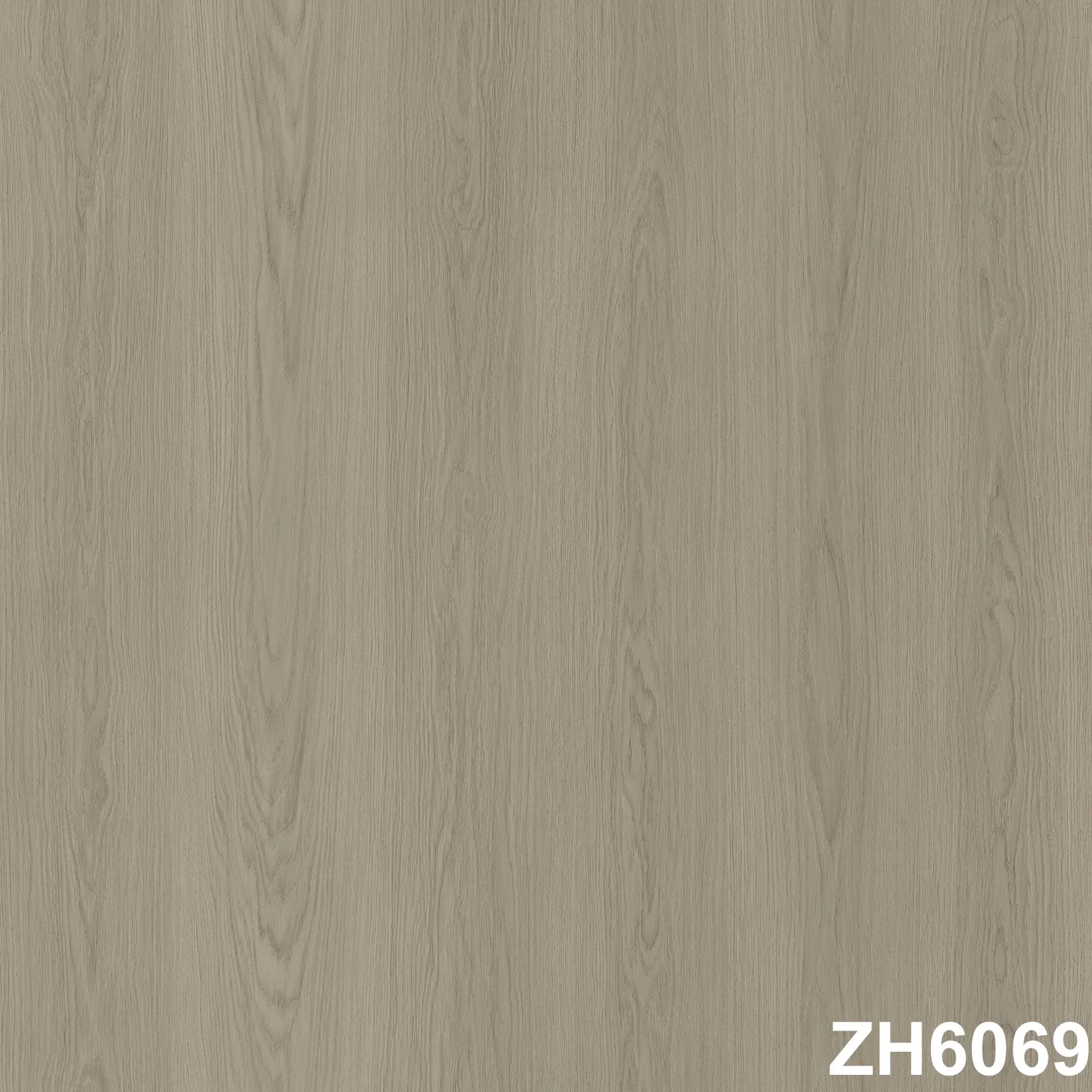 Pet Friendly Interlocking Laminate for Entryway with Rustic Design