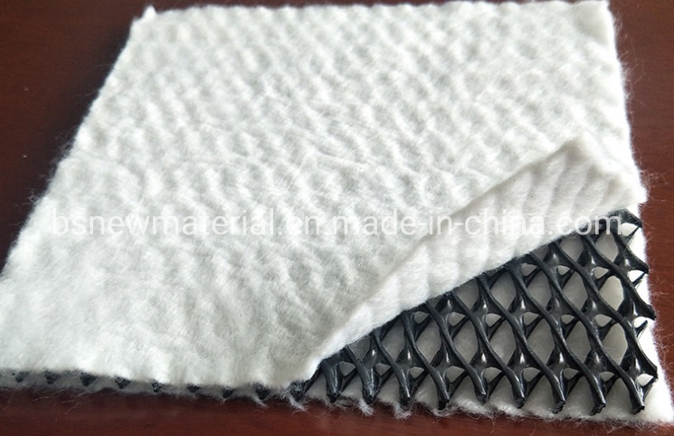 7.6mm HDPE Geonet Tri-Planer Supplier From China