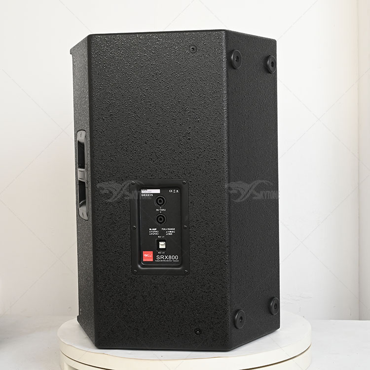 Skytone Audio Srx815 Single 15inch Neodymium PRO Audio Sound System Speaker