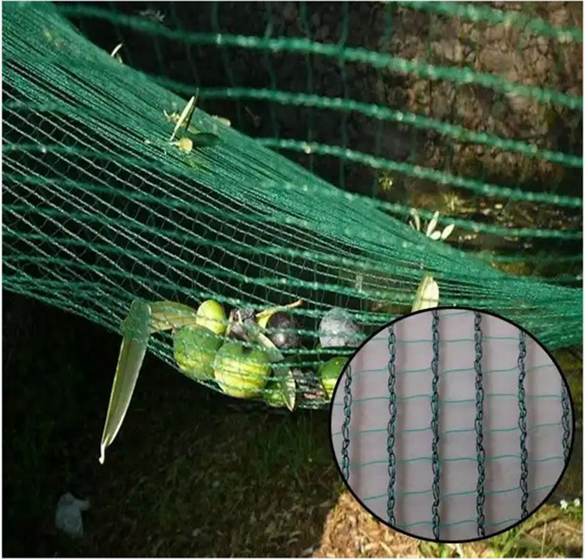 Low Price Dark Green Harvest HDPE Monotype 4X8m 90GSM Olive Net