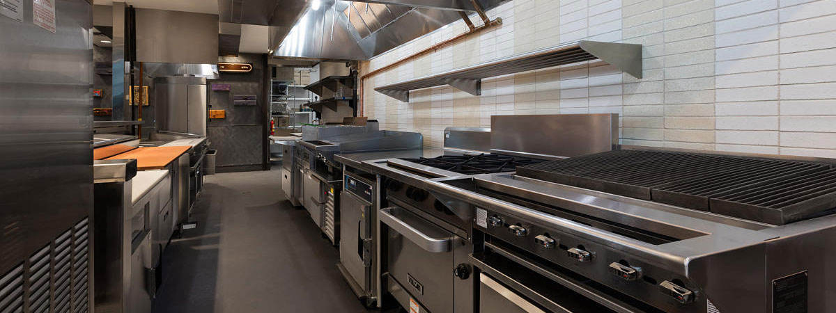 Automatic Commercial Orange Juicer for Cafe and Catering Use