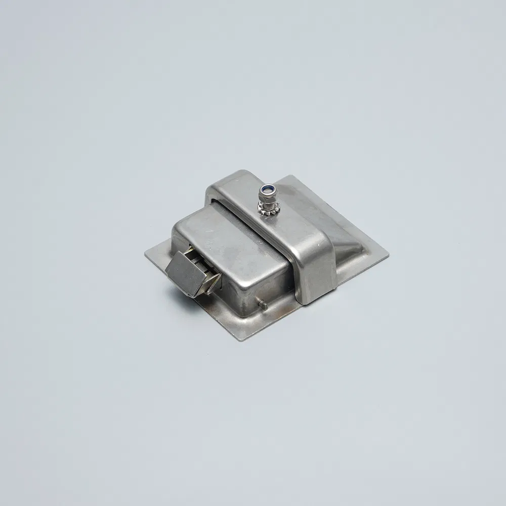 Heavy-Duty 304 Stainless Steel Paddle Latch for Secure Doors
