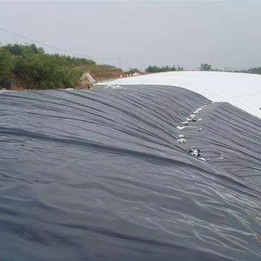 Heavy-Duty HDPE Pond Liner for Aquaculture and Water Conservation