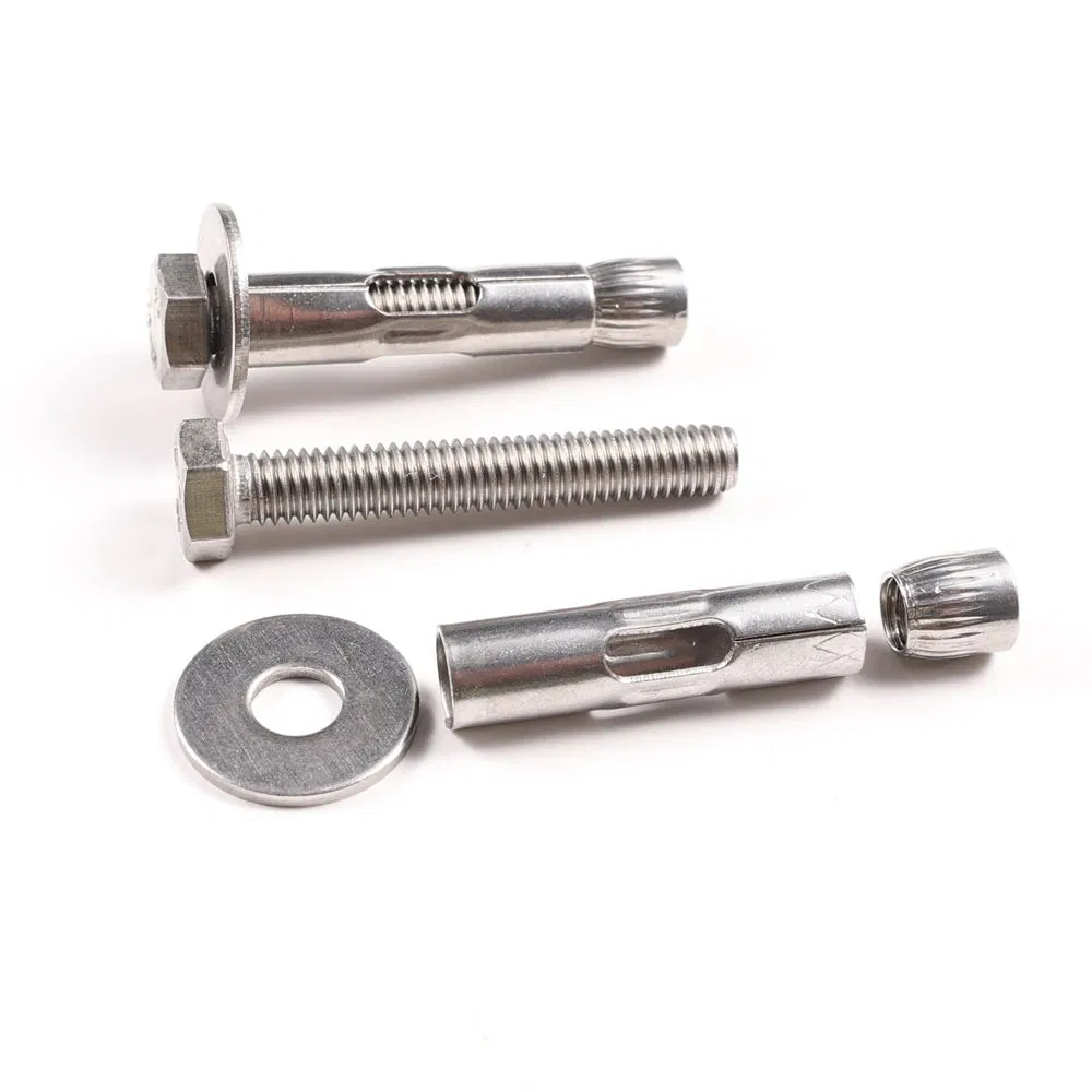 Customizable M10m12m16m20 Wedge Anchor Expansion Bolt Stainless Steel Plain Finish