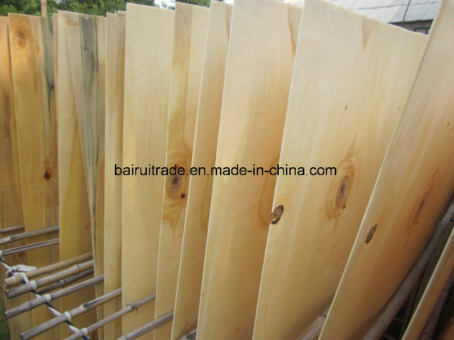 Pine Plb Okoume Birch Poplar Core Veneer for Plywood
