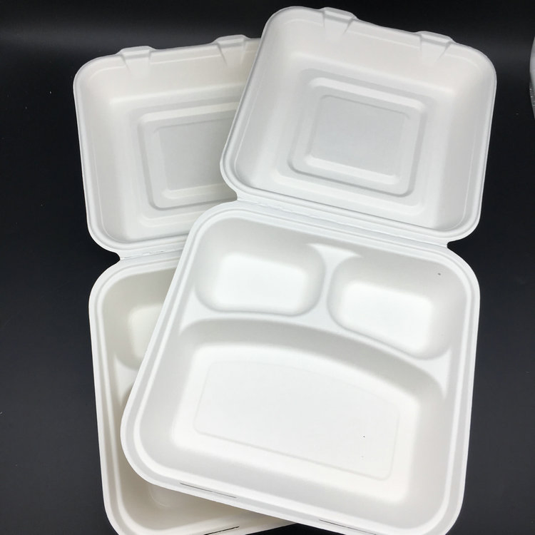 10 Inch Bagasse Lunch Box with 3 Compartments