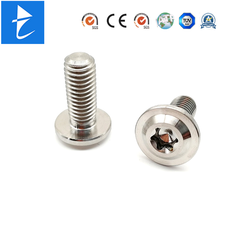 Custom Metal Titanium Grub Round Torx Socket Cap Head Captive Machine Screw