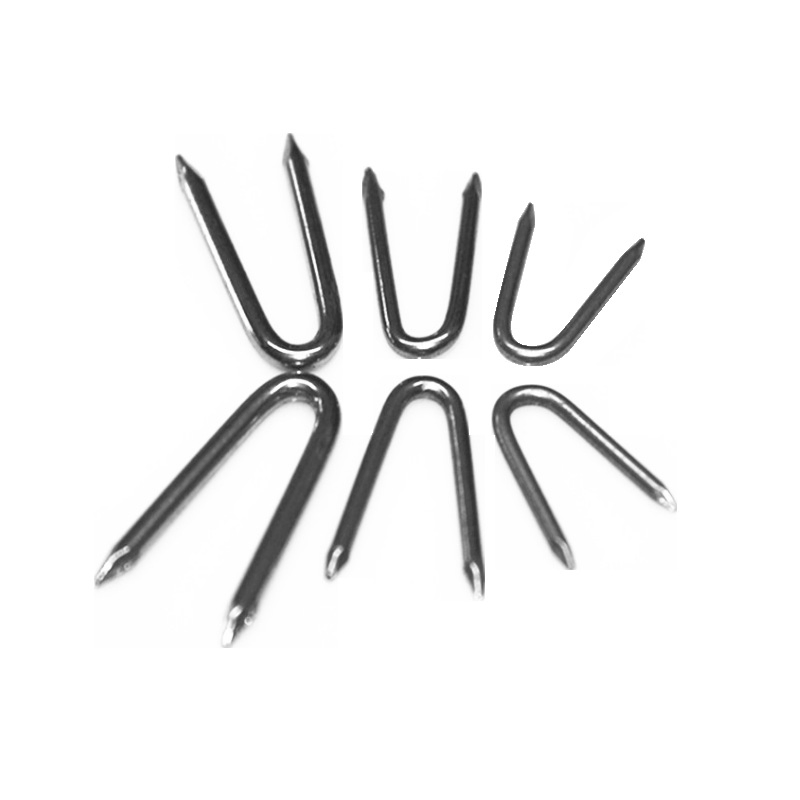 1" 1-1/2" Hot/Electro-Galvanized U Staples/U Nails of Building Tools