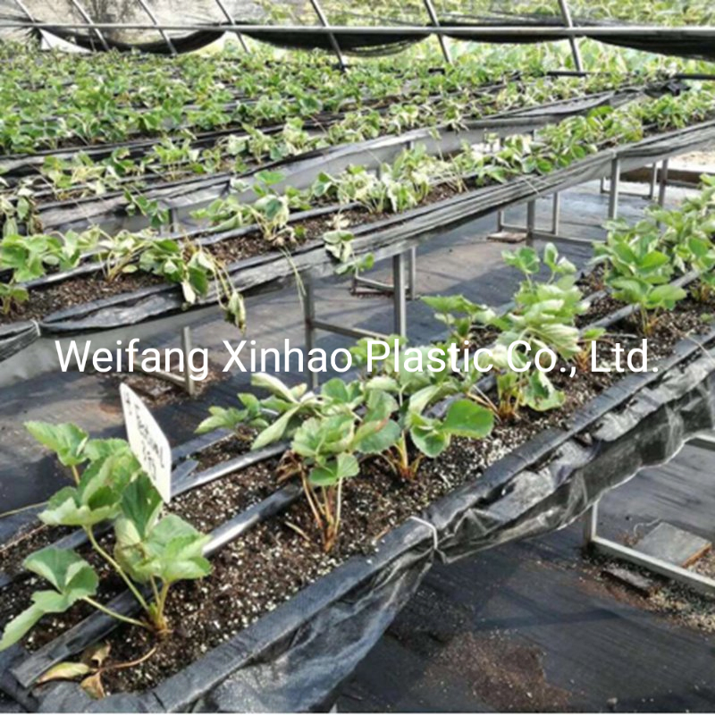 Greenhouse Black Fabric PP Woven Weed Mat Barrier