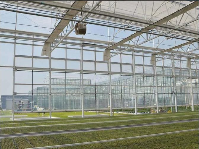 3mm 3.2mm 4mm Clear/Ultra Clear Greenhouse Glass Tempered Glass