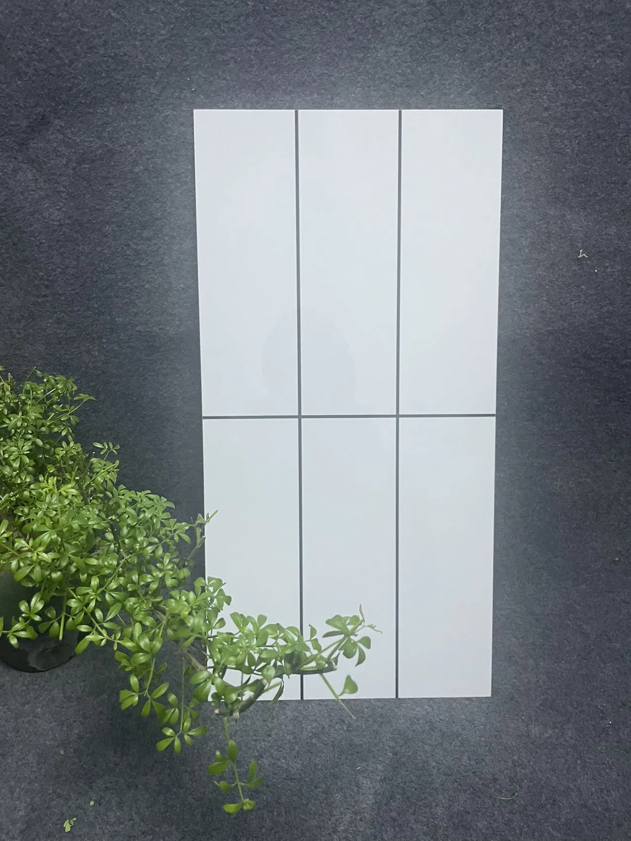 300*600mm Ceramic Wall Tiles Adhered with Cement Mortar for Bathrooms and Showers