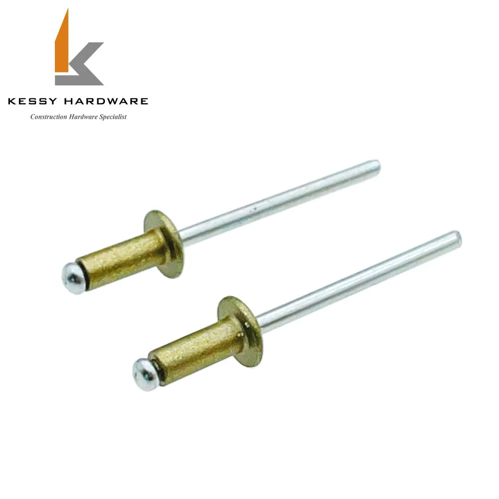 China Supplier Brass Copper Button Head Open End Blind Rivet