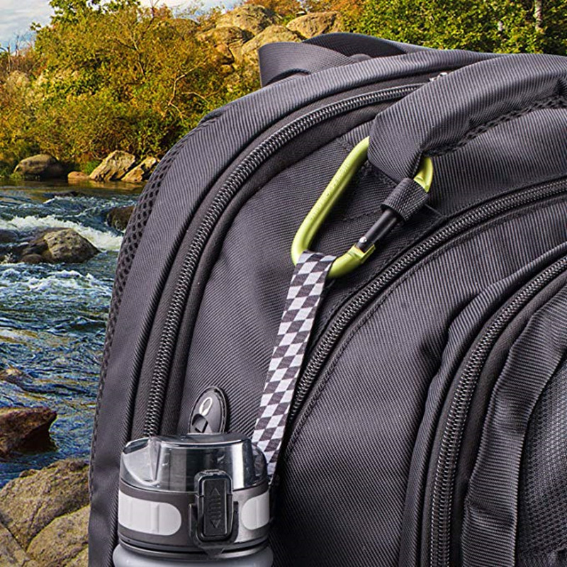 Custom Low MOQ Large Carabiner Oxidation Aluminum Carabiner Laser Engraved Logo D Shape Metal Carabiners