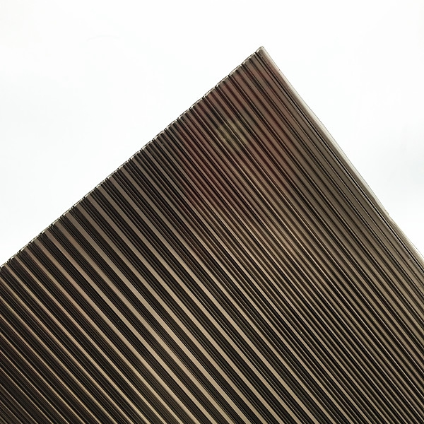 4, 6, 8, 10mmpolycarbonate Twin-Wall Sheet