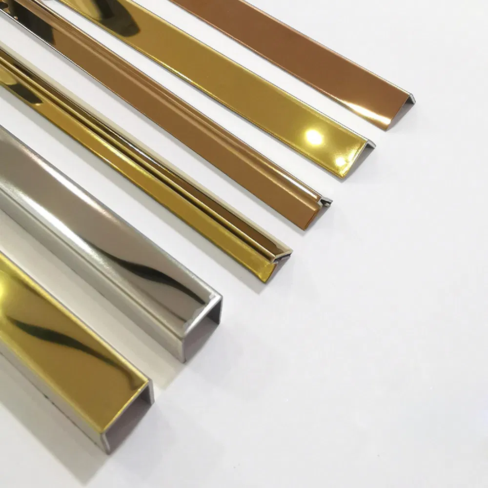 Stainless Steel Floor Trim Tile Assessories