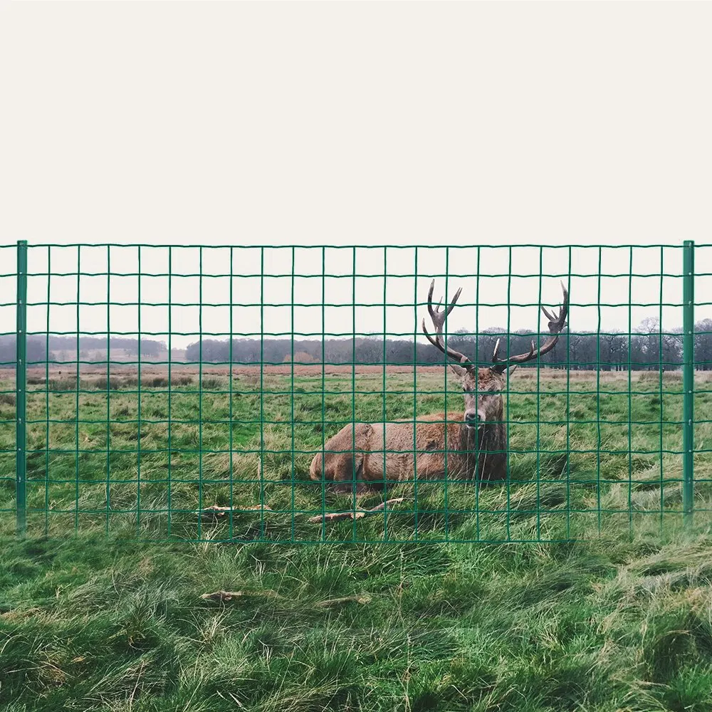 Portable to Transport and Install Simple Infrastructure Euro Fence