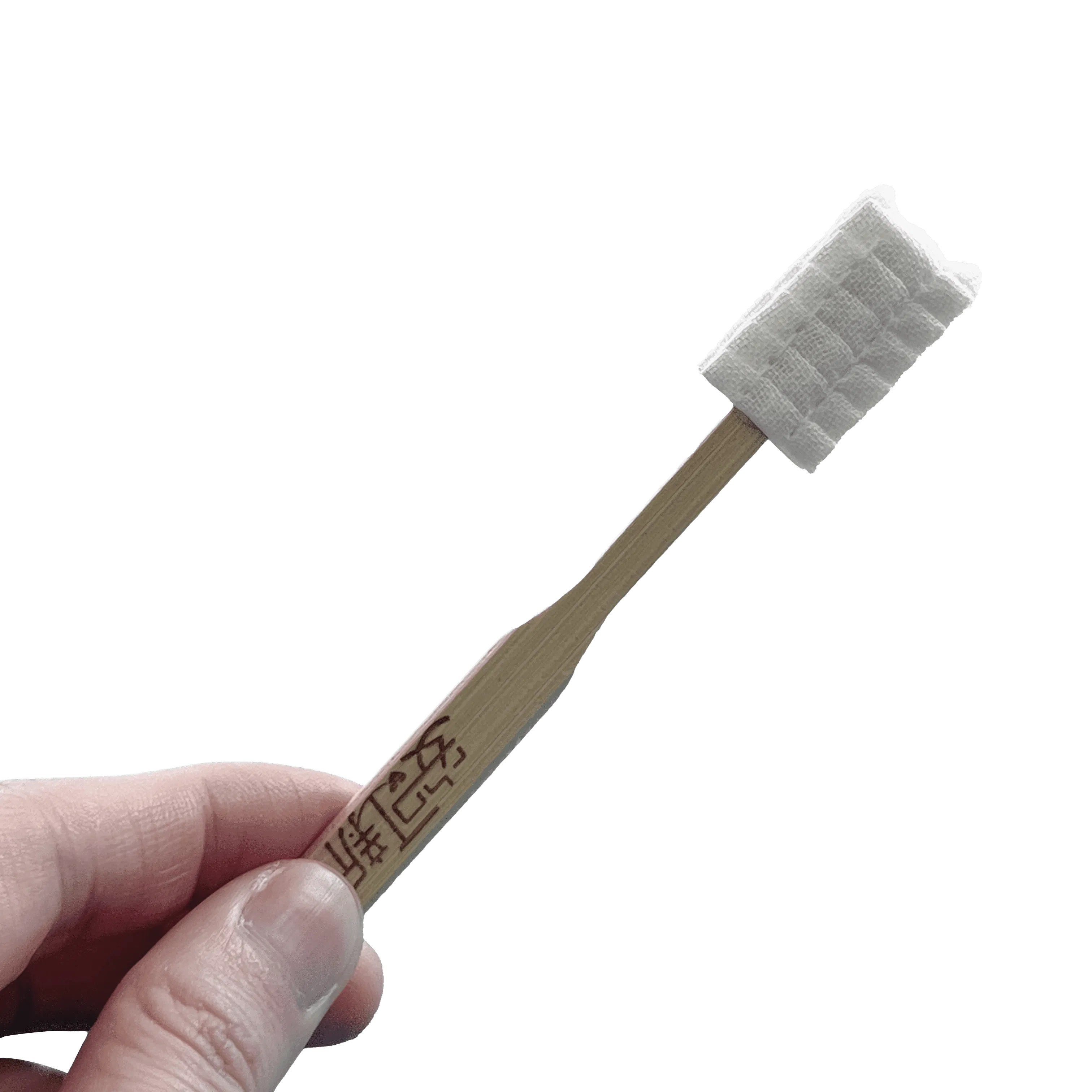Gentle Care Toothbrush for Expecting and New Moms