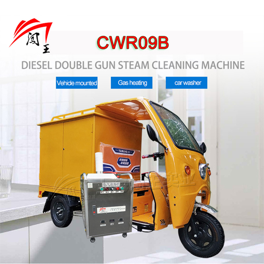 High Efficiency Mini Gas-Powered Mobile High Pressure Portable Steam Cleaner Car Washer