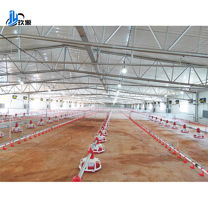 Professional Complete Set of Automatic Machine-Type Sandwich Panel Steel Structure Chicken Coop