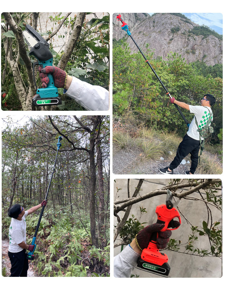 Electric Pruning Shears Secateurs, Professional Cordless Branch Pruner with Extension Pole Adjustment Digital Display Screen