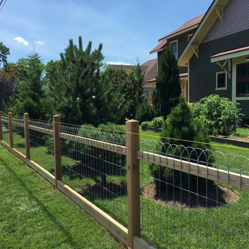 PVC Coated Hoop Top Garden Border Fencing for Garden Decorative