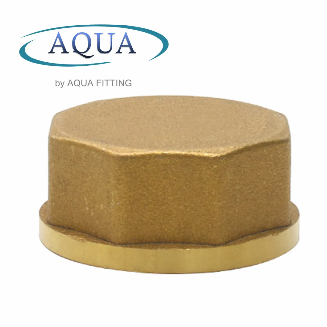 Brass End Cap Female Thread Compression with Water