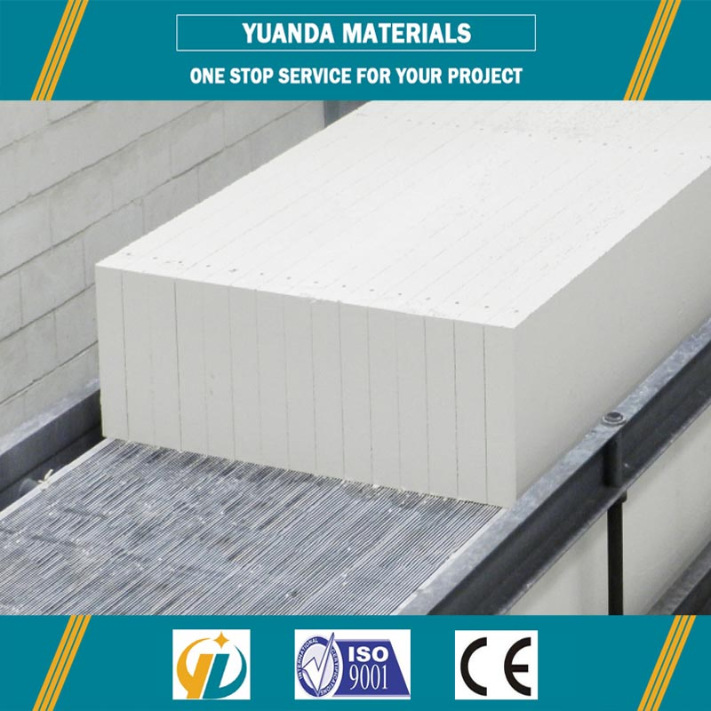 Low Price Autoclaved Lightweight Concrete Panel AAC/Alc Panel