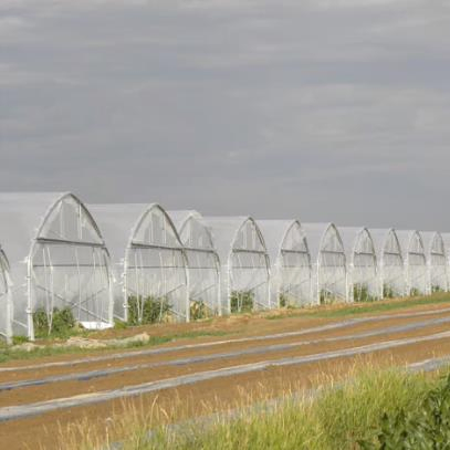 Customized Garden Products Flower House Warm Sunlight Vegetables Greenhouse with Cheap Price