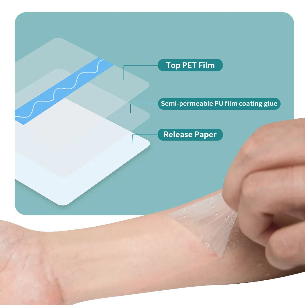 Clear Adhesive Bandages Shower Shield Dressing Tape for Tattoos Aftercare Swimming, 10m*5cm