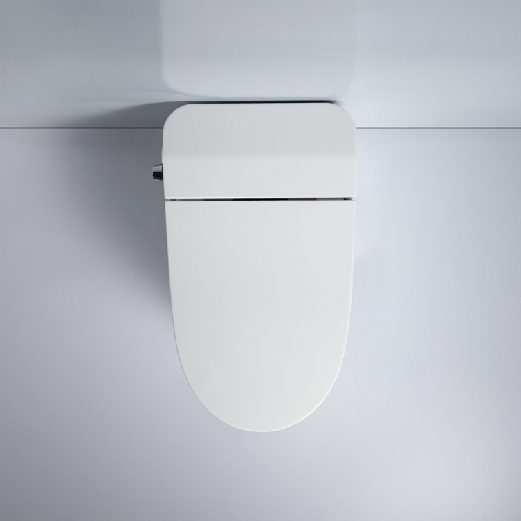 Foot Kick Flushing Ceramic Sanitary Composting One Piece Toilet