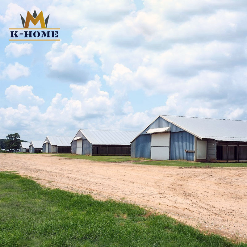 China Cheap Steel Structure Industrial Poultry Broiler Chicken Farm for Sale
