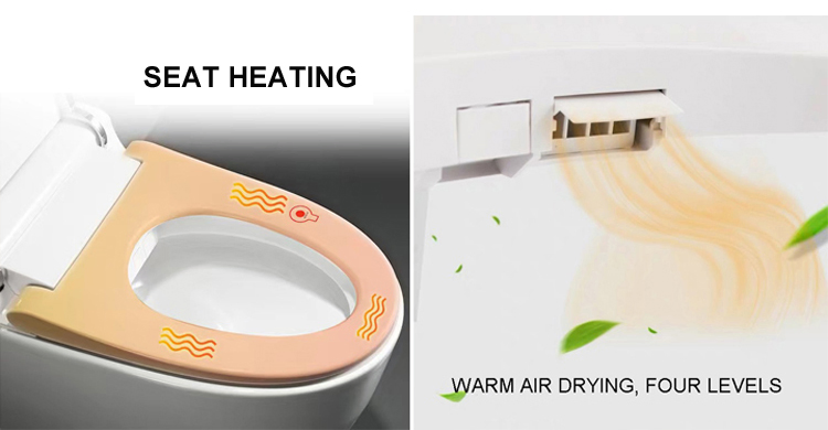 Wc Ceramic Toilet Bidet Spray