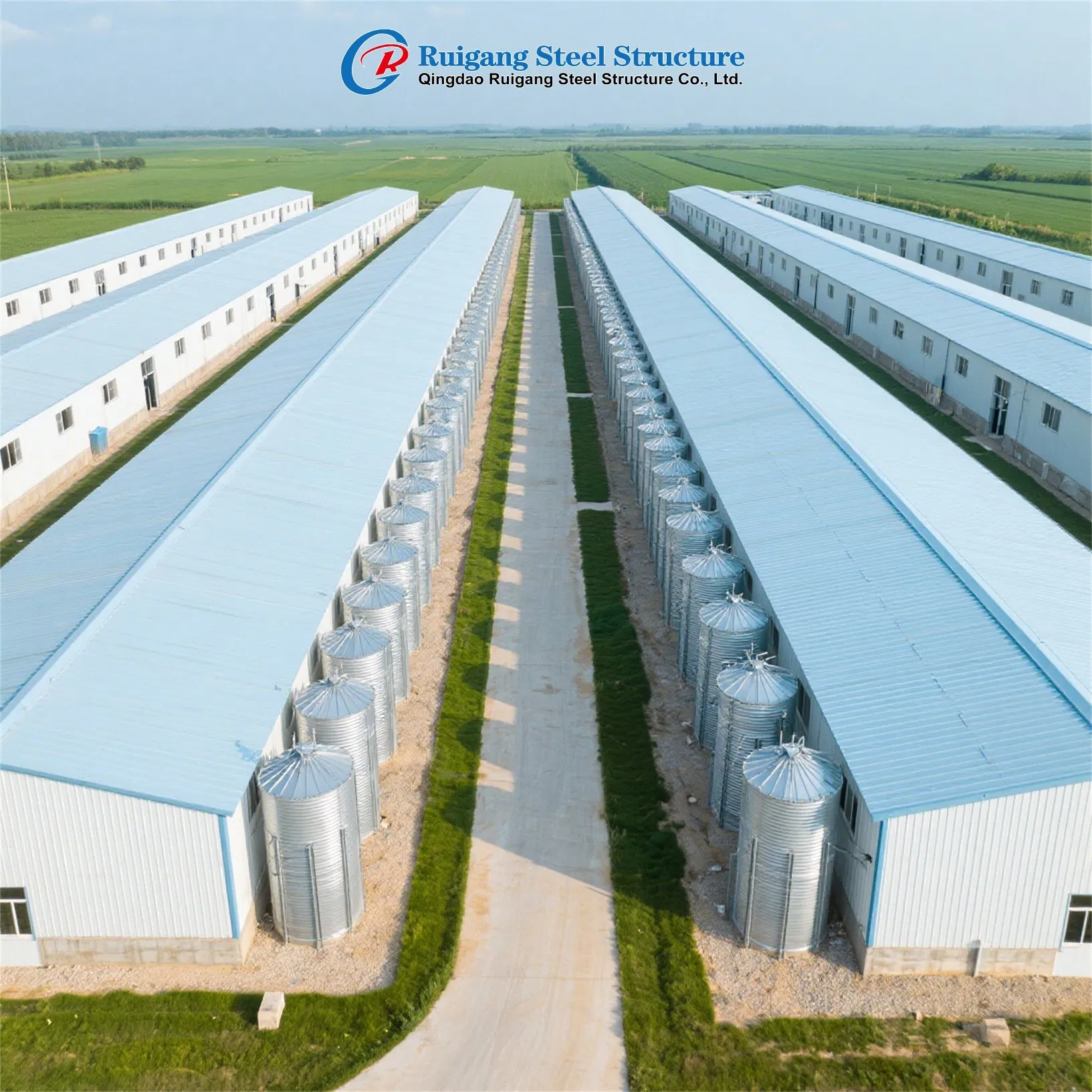 Light Steel Structure Farm Cowshed Low Cost Prefabricated Light Steel Piggery Shed Building